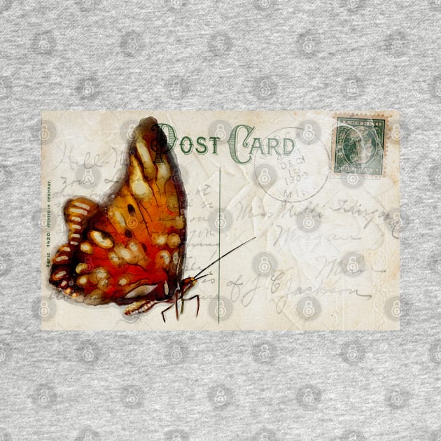 Butterfly Postcard by MikaelJenei